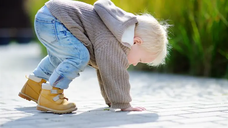 אילוסטרציה