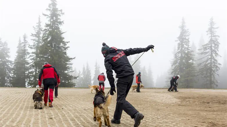 Search and rescue team with sniffer dogs