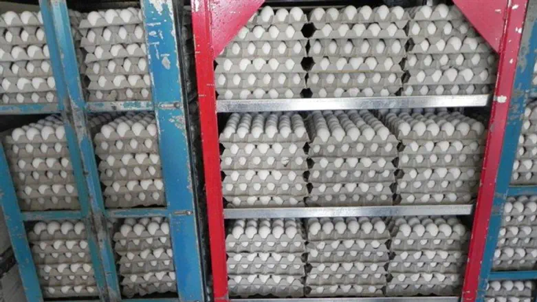 Eggs hidden behind mattresses