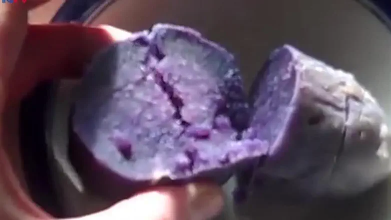 Israeli team infuses beet pigments into veggies 