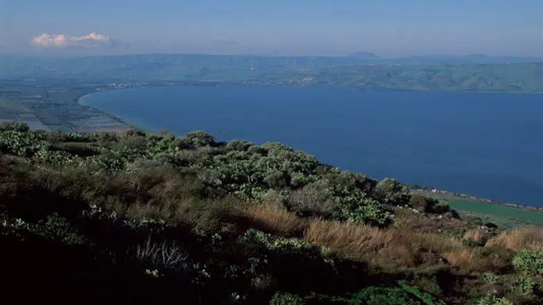 Kinneret