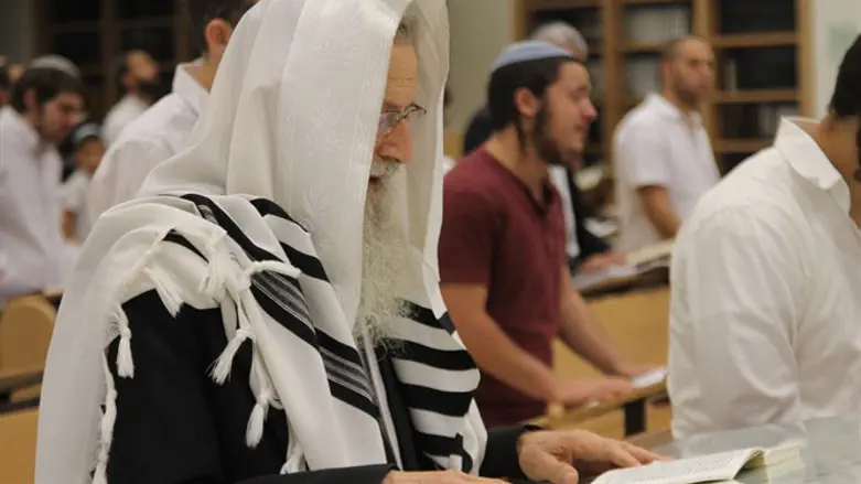 הרב זלמן מלמד