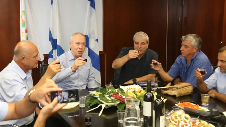 גלנט וראשי המועצות