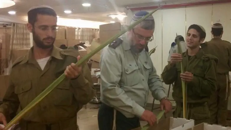בצה"ל ממיינים לולבים לקראת סוכות