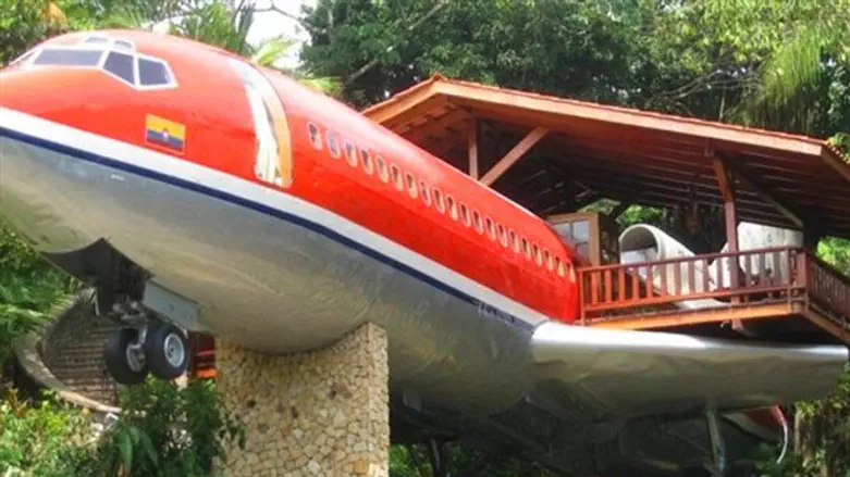 לישון בתוך מטוס על העץ