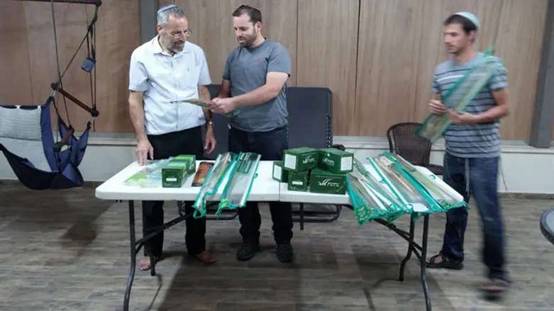 "נתינת לולב"