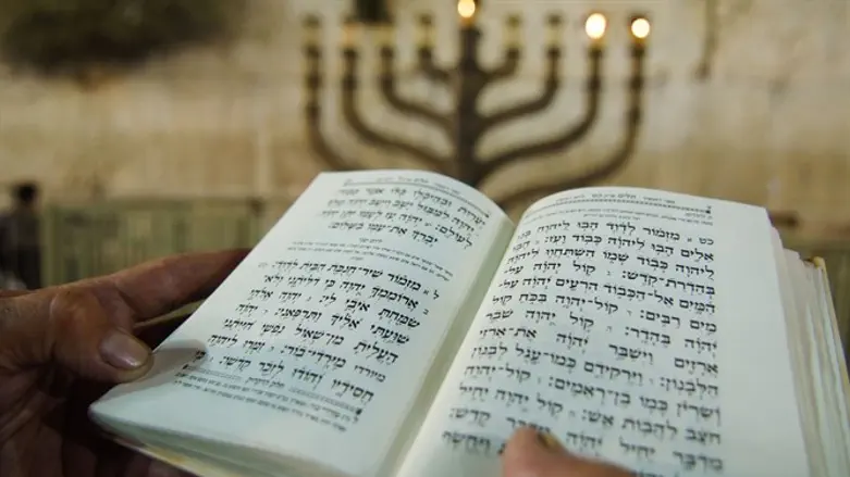 תהילים