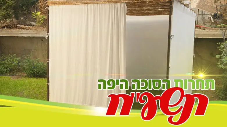 Конкурс 7 канала на самую красивую сукку