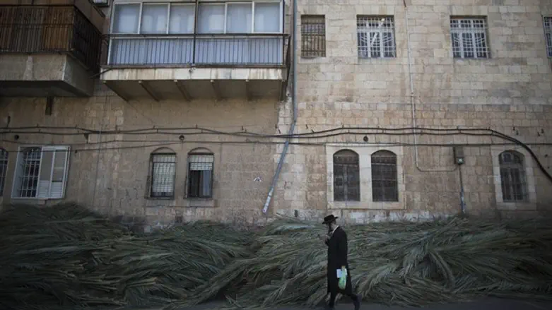סכך. ארכיון