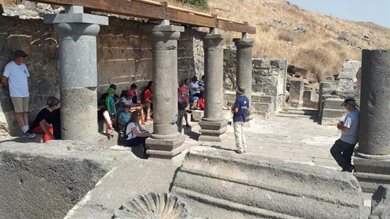Tourists in Golan Heights, today