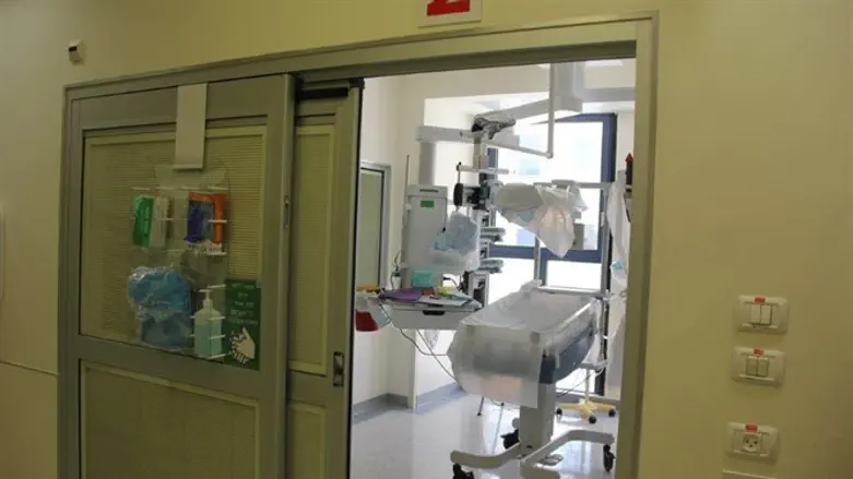 הפגייה החדשה בהדסה עין כרם