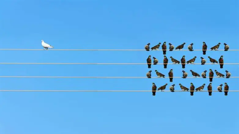 גזענות. אילוסטרציה