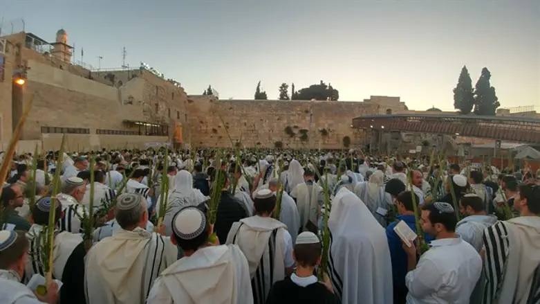Тысячи евреев на молитву Тикун Ошана-Раба у Западной Стены