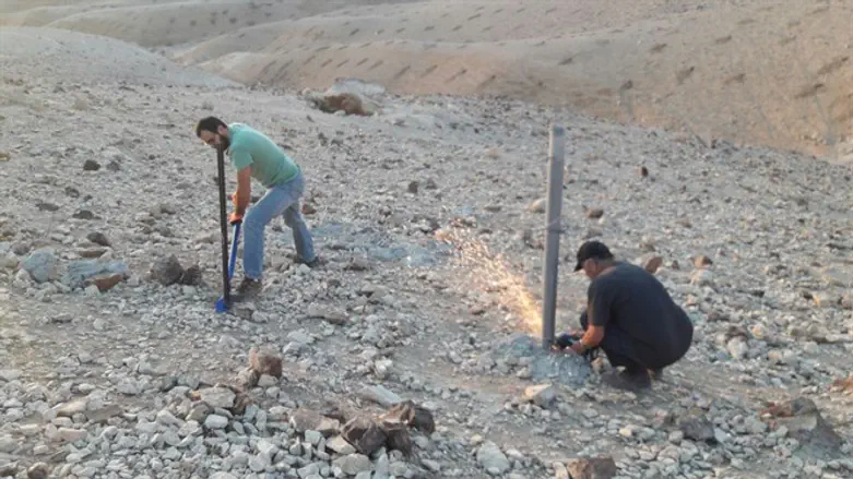 עובדי המנהל מטפלים בפלישה