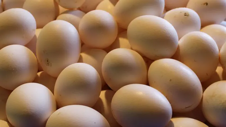 Eggs