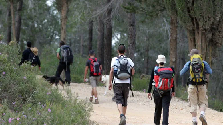 הישראלים מעדיפים ללכת. אילוסטרציה