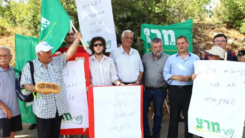Meretz supporters