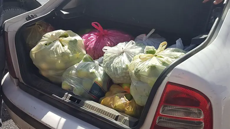Some of the stolen produce