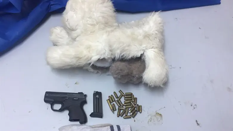 Weapons found inside a stuffed toy