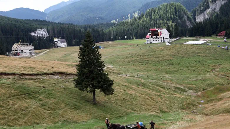 מדריך ישראלי נהרג. רומניה
