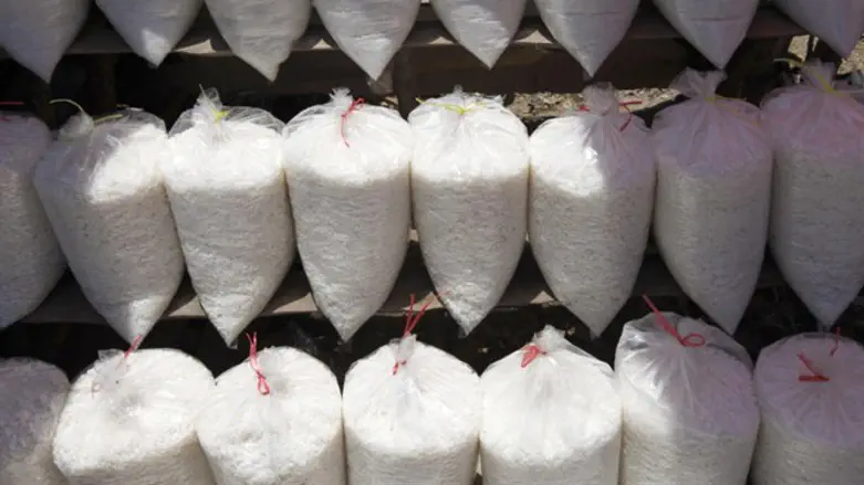 It's all about the salt