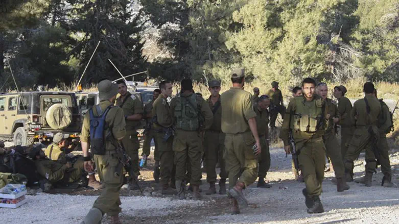 soldiers in the field (illustrative)