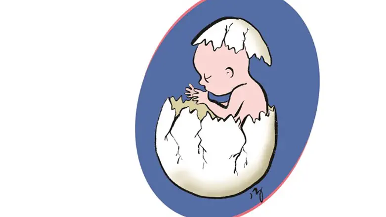 זכות העובר לחיות