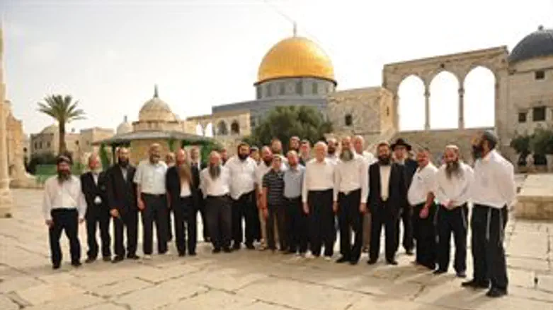 הרבנים בהר הבית