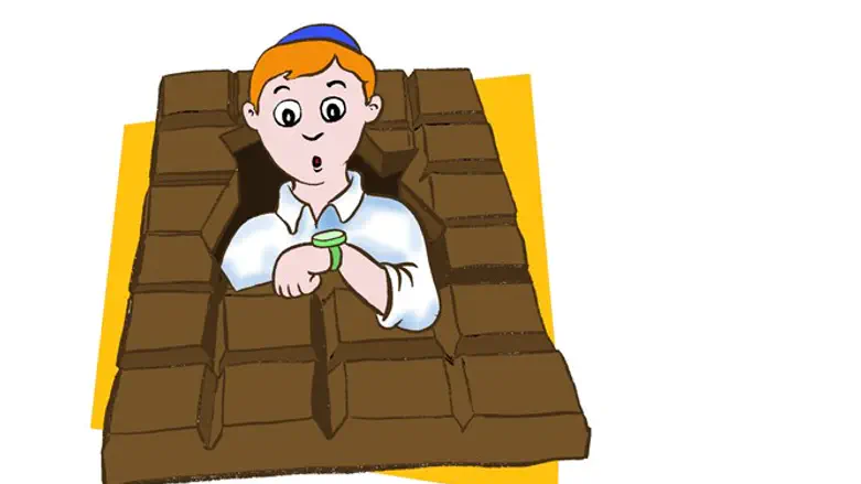 סיבה ומסיבה