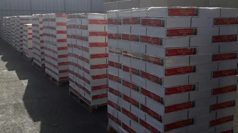 המשלוח לגרמניה