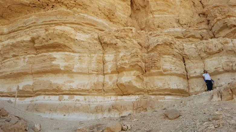 פראמדיק מד"א בזירת האסון