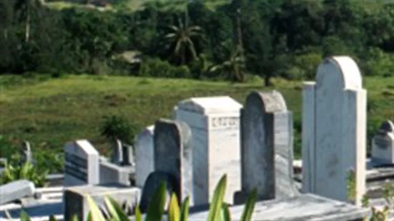 אילוסטרציה