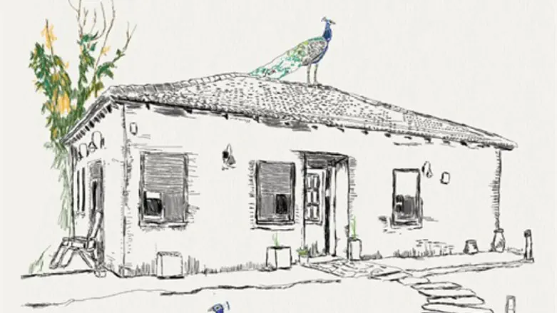 טווסים על הגג