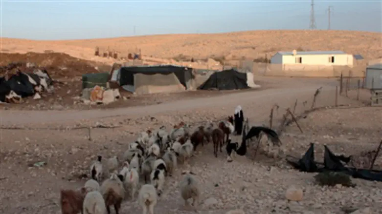 Bedouin