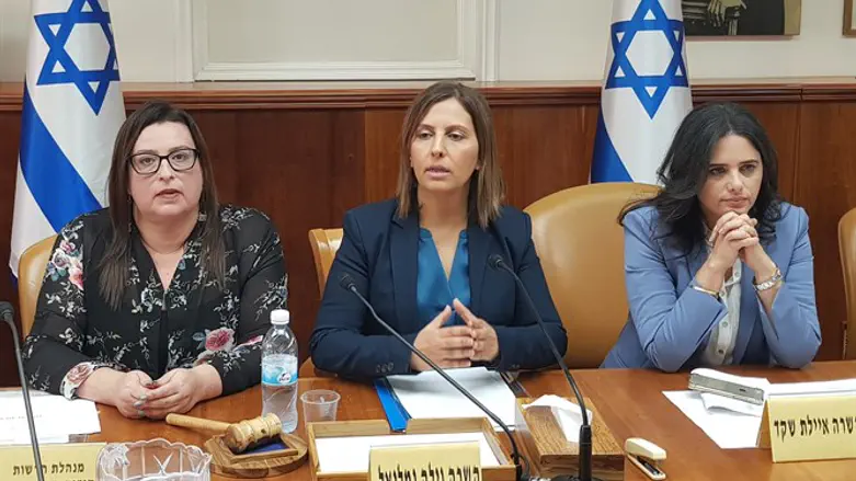 ועדת השרים לשיוויון מגדרי