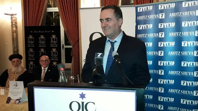 השר ישראל כץ