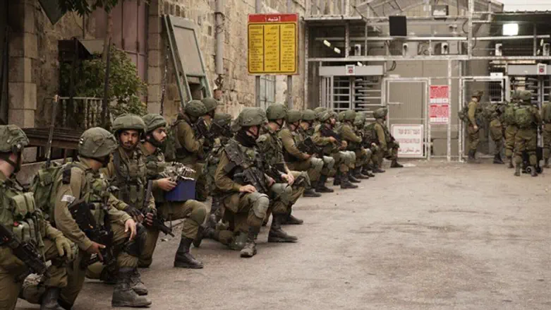 לוחמי גבעתי