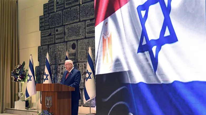 Rivlin addressing Egypt delegation