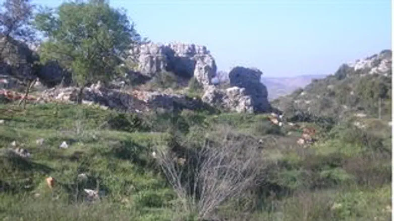 גם הם שוחררו. יהודה ושומרון