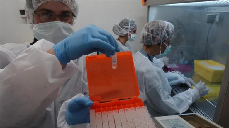 סיבות המוות. משרד הבריאות