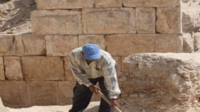 פוליטיזציה עתיקה