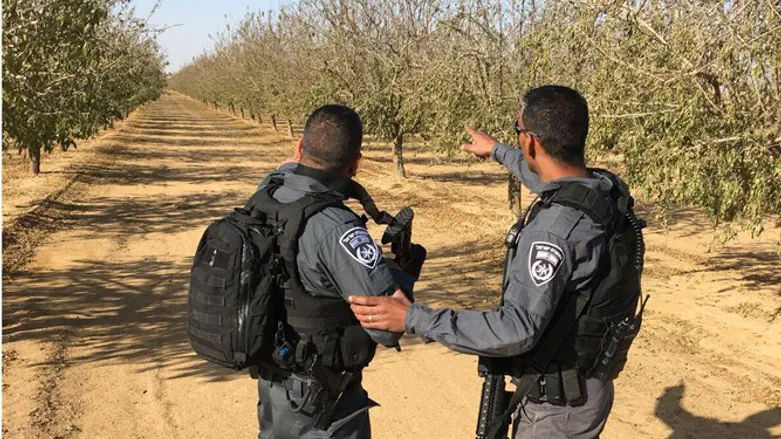 סריקות אחר המחבלים