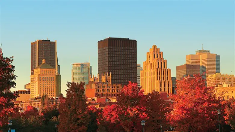 מונטריאל- עוד קוי תעופה