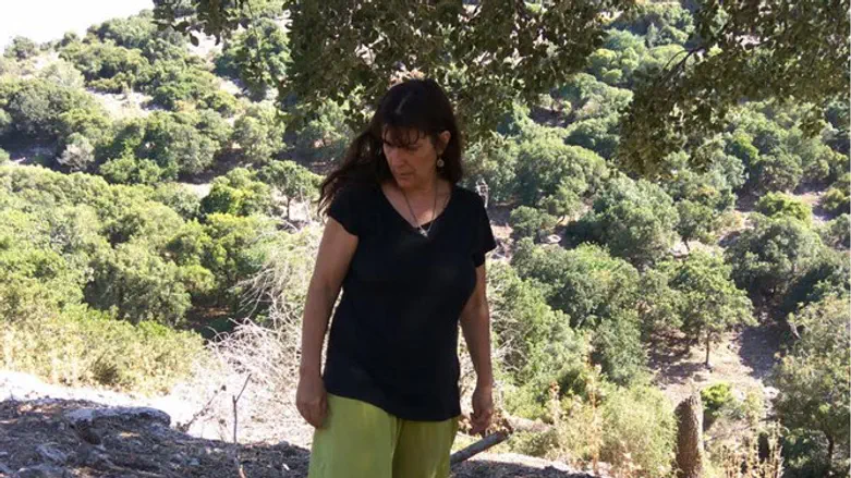 נאוה נוריאלי