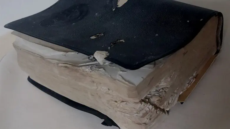 המחזור המופגז