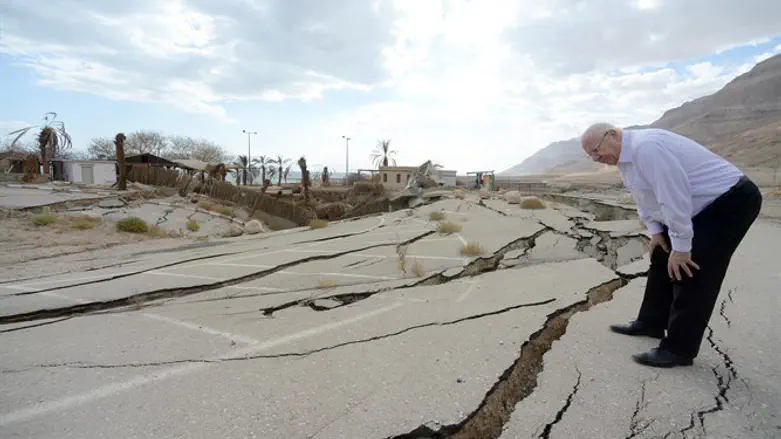 בוחן מקרוב את נזקי הבולענים. ריבלין