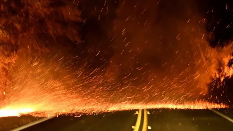 wildfires in California (archive)