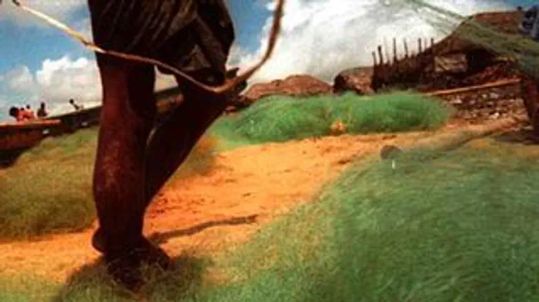 דייגים. ארכיון