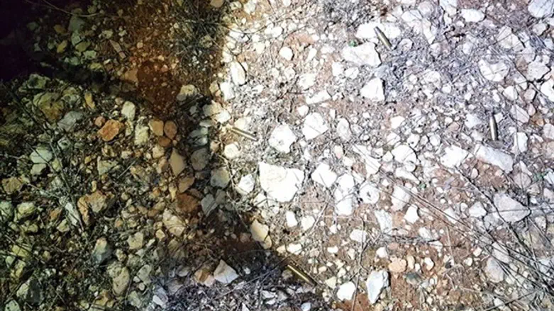 תרמילים שנמצאו בזירת הירי