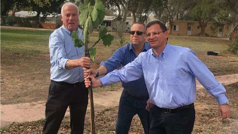 נוטעים בכרם שלום